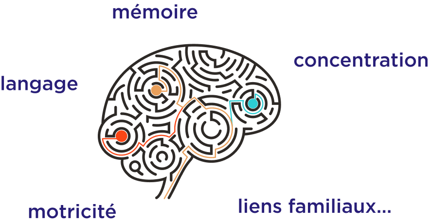 mémoire, concentration, langage, motricité, liens familiaux…